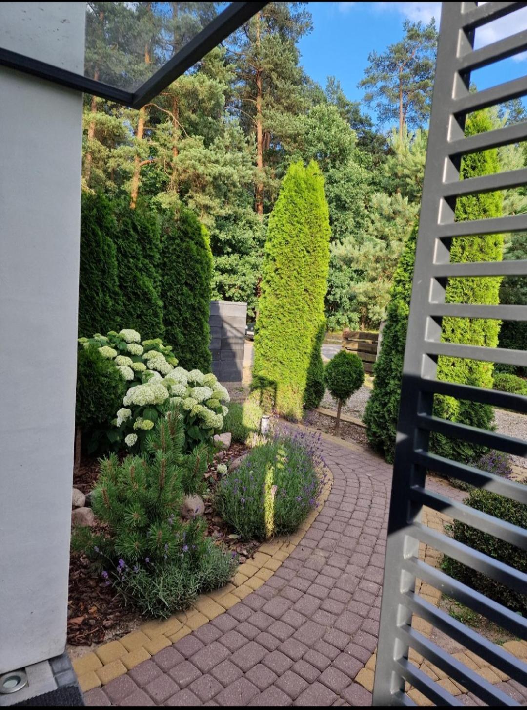 Apartamenty Pod Sosnami Ostroda Miedzylesie 6Os ห้อง รูปภาพ